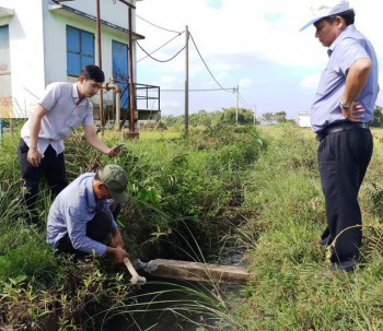 Vụ bò làm lộ "bê tông cốt cây": Truy trách nhiệm giám sát thi công