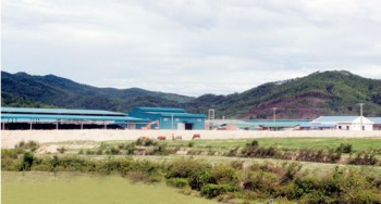 Hà Tĩnh chấp thuận dự án Nhà máy may tại cụm công nghiệp Khe Cò