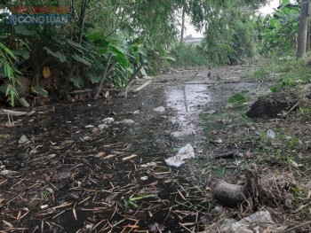 Hà Tĩnh: Trại lợn không phép trong khu dân cư, người dân “kêu trời” vì ô nhiễm