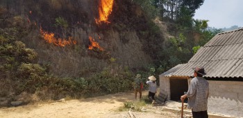 Cháy rừng đe dọa khu dân cư, di dời khẩn cấp nhiều hộ dân