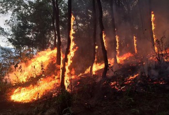 Người phụ nữ ngạt khói tử vong khi mang nước cho lực lượng chữa cháy rừng