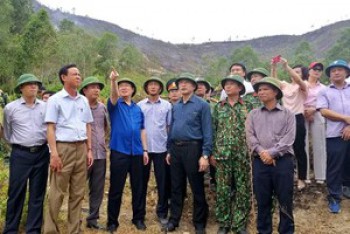 Phó Thủ tướng Vương Đình Huệ thị sát, kiểm tra tình hình chữa cháy rừng ở Hà Tĩnh