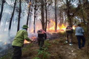 Hà Tĩnh: Cháy rừng bùng phát trở lại, các lực lượng tiếp tục 'trực chiến'