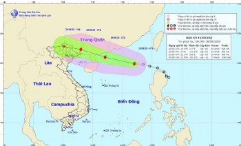 Áp thấp nhiệt đới mạnh thành bão số 4, Bắc Bộ có mưa lớn đến cuối tuần