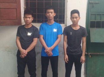 Bắt khẩn cấp băng nhóm trộm trâu liên tỉnh từ Nghệ An ra Nam Định