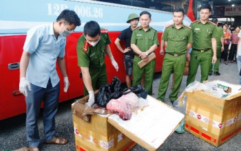 Hà Tĩnh: Bắt giữ xe vận chuyển 250 kg động vật đã bốc mùi hôi thối