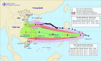 Bão số 8 gây mưa to từ Nghệ An đến Thừa Thiên - Huế, bão số 9 đang mạnh thêm