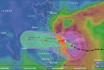 Cuồng phong số 9 áp sát đất liền, mưa lớn gió mạnh đến tối nay