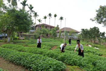 Hà Tĩnh: Đảm bảo công tác an sinh xã hội - ổn định đời sống người dân