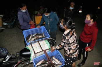 Hà Tĩnh: Ngư dân trúng đậm cá thiều