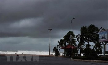 Dự báo có những cơn bão mạnh ảnh hưởng trực tiếp đến Việt Nam