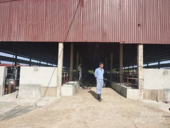 Từ trại lợn Khánh Giang: Hà Tĩnh tạm dừng cấp phép cơ sở chăn nuôi lợn