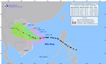 Hà Tĩnh kêu gọi tàu, thuyền vào tránh trú bão