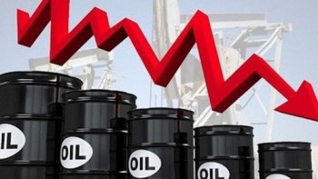 Giá xăng dầu hôm nay 1/9: Quay đầu giảm mạnh