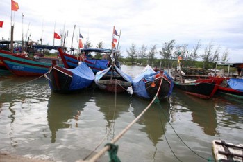 Hà Tĩnh: Kêu gọi hơn 3.600 tàu thuyền vào bờ tránh bão số 5