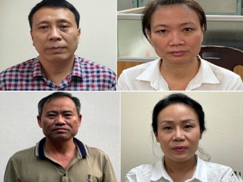 Bộ Công an bắt giam thêm 4 người vụ trồng và thay thế cây xanh tại Hà Nội
