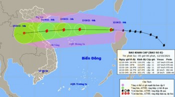 Bão số 8 giật cấp 13, khả năng mạnh thêm