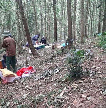 Vụ phát hiện thi thể bị nhiều vết đâm trong rừng keo: Triệu tập nghi phạm