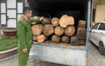 Hà Tĩnh: Bắt giữ xe chở gỗ lậu quý hiếm vào lúc nửa đêm