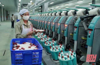 Nhà máy sợi 600 tỷ đồng chuẩn bị được đầu tư tại Hà Tĩnh