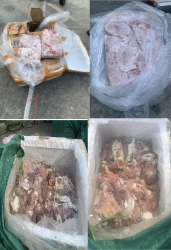 Tiêu hủy 3,5 tấn thịt thối ở Nghệ An