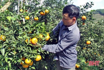 Vũ Quang (Hà Tĩnh): Bước chuyển từ xây dựng nông thôn mới