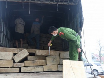 Bắt giữ xe tải chở gỗ lậu từ Đắk Lắk ra Hà Tĩnh tiêu thụ