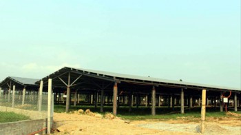 Hà Tĩnh: “Núp bóng” dự án trang trại tổng hợp “chui” để làm điện mặt trời