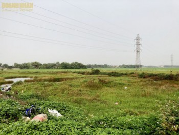 Hà Tĩnh: Dự án Trung tâm tổ chức sự kiện nằm trên "đất vàng" bị bỏ hoang