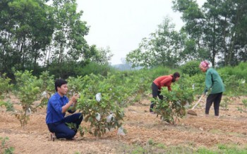 Khởi nghiệp trên quê hương Lý Tự Trọng