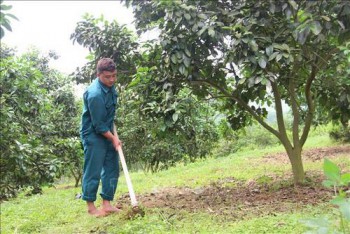 90 năm Ngày thành lập Đoàn: Sức trẻ khiến 'đất cằn nở hoa'