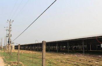 “Núp bóng” dự án trang trại làm điện mặt trời: Tập đoàn Hoành Sơn “vượt mặt” cơ quan chức năng thế nào?