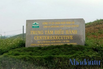 Công ty Bình Hà muốn ‘tái sinh’ dự án nuôi bò nghìn tỷ ở Hà Tĩnh