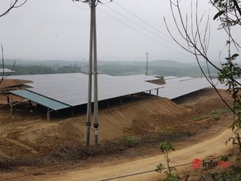 Hàng loạt dự án điện mặt trời lách luật, 'núp bóng' trang trại, lợi dụng ưu đãi ở Hà Tĩnh