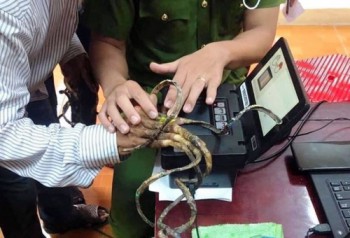 Nam Định: "Đánh vật" 25 phút không lấy nổi vân tay người có bộ móng dài nhất Việt Nam