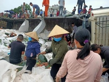 Quảng Bình: Dân giúp tài xế bị lật xe thu gom dưa trong mưa