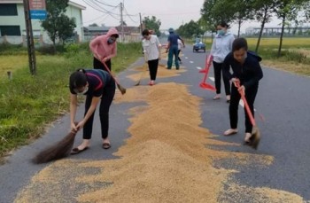 Hà Tĩnh: Giáo viên giúp bà con gom lúa “chạy” mưa giông
