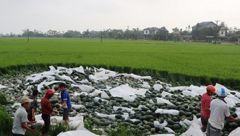 Lật xe tải chở 29 tấn dưa hấu tại Hà Tĩnh