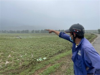 Hà Tĩnh: Dân 'ngập nước mắt' vì đất nông nghiệp bị sình lầy