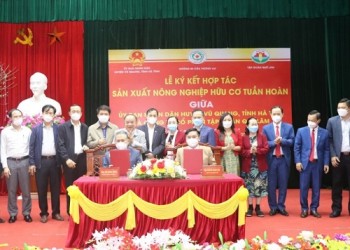 Tập đoàn Quế Lâm và khát vọng nông nghiệp tuần hoàn ở Vũ Quang