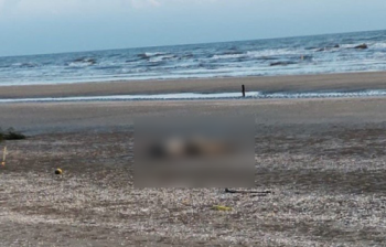 Hà Tĩnh: Đi đánh cá phát hiện người phụ nữ chết bất thường trên bãi cát