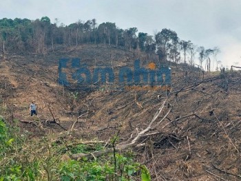 Kỳ 4: Ngăn chặn, xử lý nghiêm vấn nạn phá rừng tại huyện Hương Khê