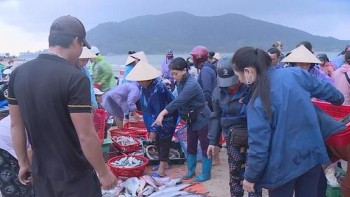 Hà Tĩnh: Ngư dân thu về hàng trăm tỷ đồng từ vụ cá Bắc