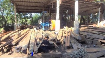 Hà Tĩnh: Xử phạt doanh nghiệp dựng xưởng cưa trên đê chống lũ