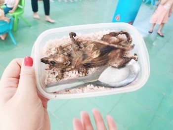 Vụ học sinh ăn cơm với thịt chuột: Bức ảnh từ 3 năm trước trong bối cảnh đặc biệt!