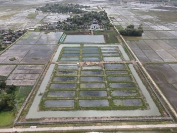 Hà Tĩnh: Đại gia “hô biến” hàng chục nghìn m2 đất lúa làm dự án