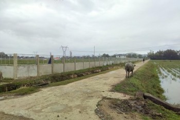 Vụ "hô biến" đất lúa làm dự án ở Hà Tĩnh: “Tôi đang cho xử lý…”