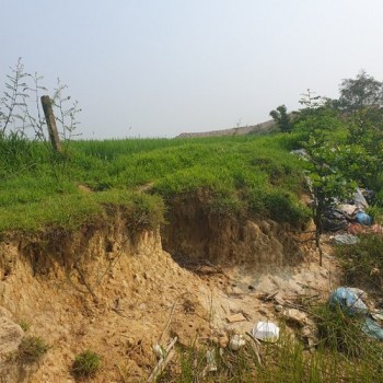 Sông Lam 'nuốt' đất nông nghiệp, người dân Hà Tĩnh bất an