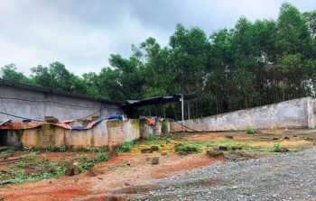 Hà Tĩnh: Con Chủ tịch xã “hô biến” đất rừng thành trại nuôi lợn