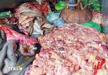 Hà Tĩnh: Bắt tài xế chở hơn 1 tấn nội tạng không rõ nguồn gốc